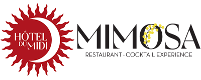 HOTEL DU MIDI